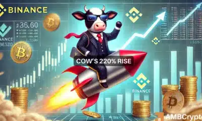 COW Binance Cetus