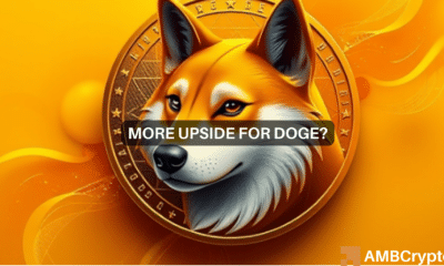 How Dogecoin whales can spur a 28% rally on the price charts