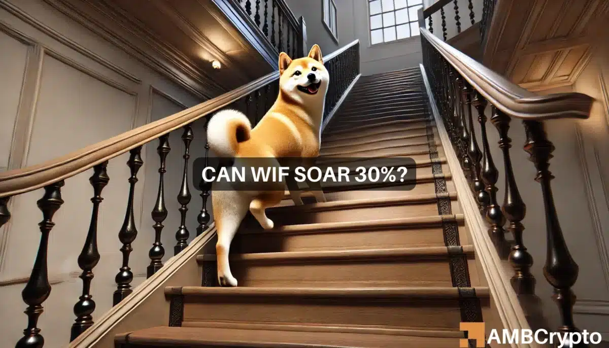 Is dogwifhat ready to soar? Why WIF can see a 22% rise