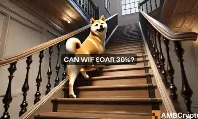 Is dogwifhat ready to soar? Why WIF can see a 22% rise