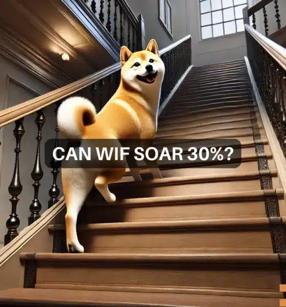 Is dogwifhat ready to soar? Why WIF can see a 22% rise