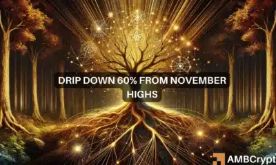 DRIP crypto rallies 59% in ten hours, but long-term downtrend persists