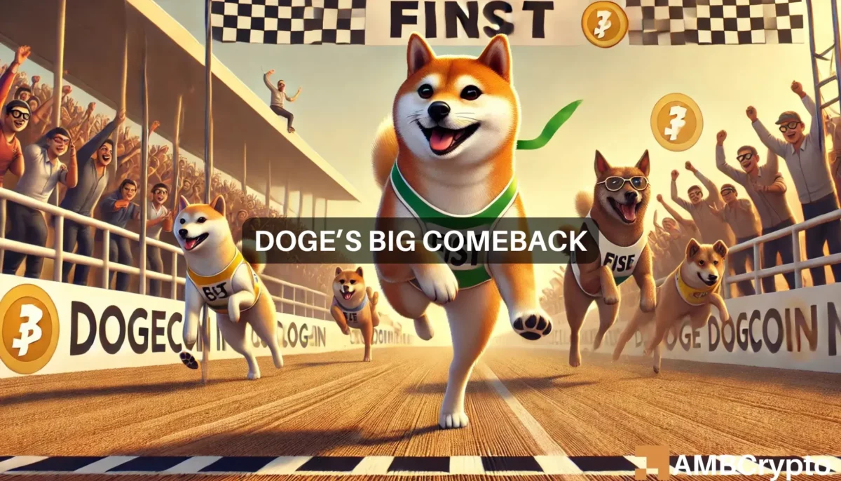 Dogecoin - Assessing memecoin sector's latest reaction to DOGE's price hike