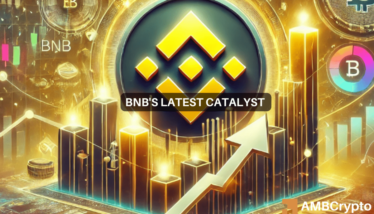 BNB's 29th Burn - Examining the odds of altcoin rallying to a new high now