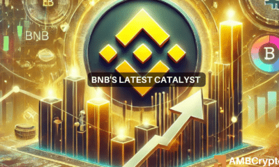 BNB's 29th Burn - Examining the odds of altcoin rallying to a new high now