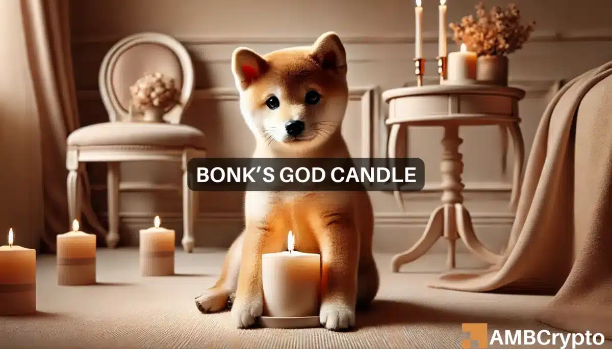 BONK explodes 23%: Can this 'GOD candle' rally hold strong?