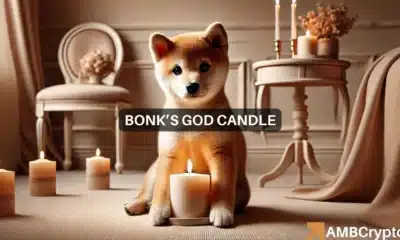 BONK explodes 23%: Can this 'GOD candle' rally hold strong?