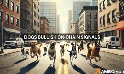 Dogs crypto