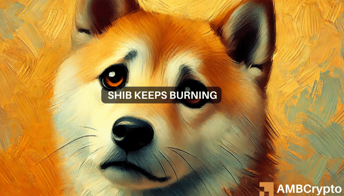 Shiba Inu's burn rate surges by 254,000% - Good news for SHIB?