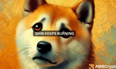 Shiba Inu's burn rate surges by 254,000% - Good news for SHIB?