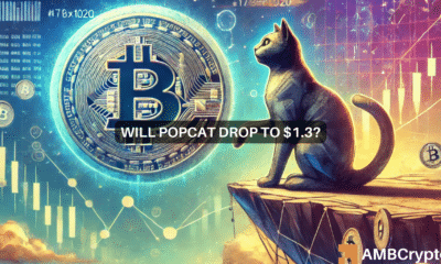 POPCAT - Why a new ATH is NOT impossible despite 22% fall in memecoin's value