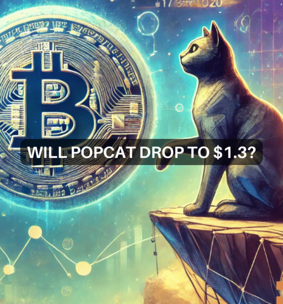 POPCAT - Why a new ATH is NOT impossible despite 22% fall in memecoin's value