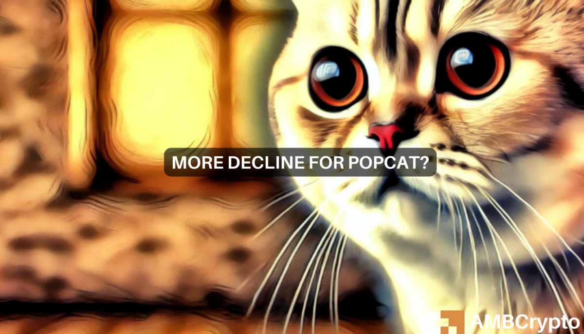 popcat