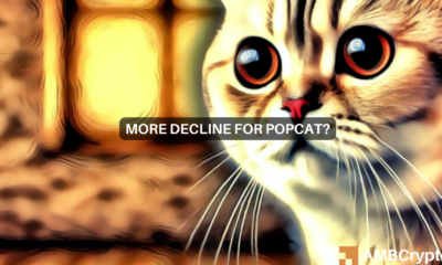 popcat