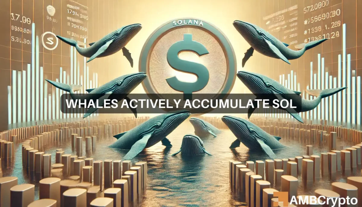 Solana whale scoops up 7500 SOL worth $54 mln: Impact on price?