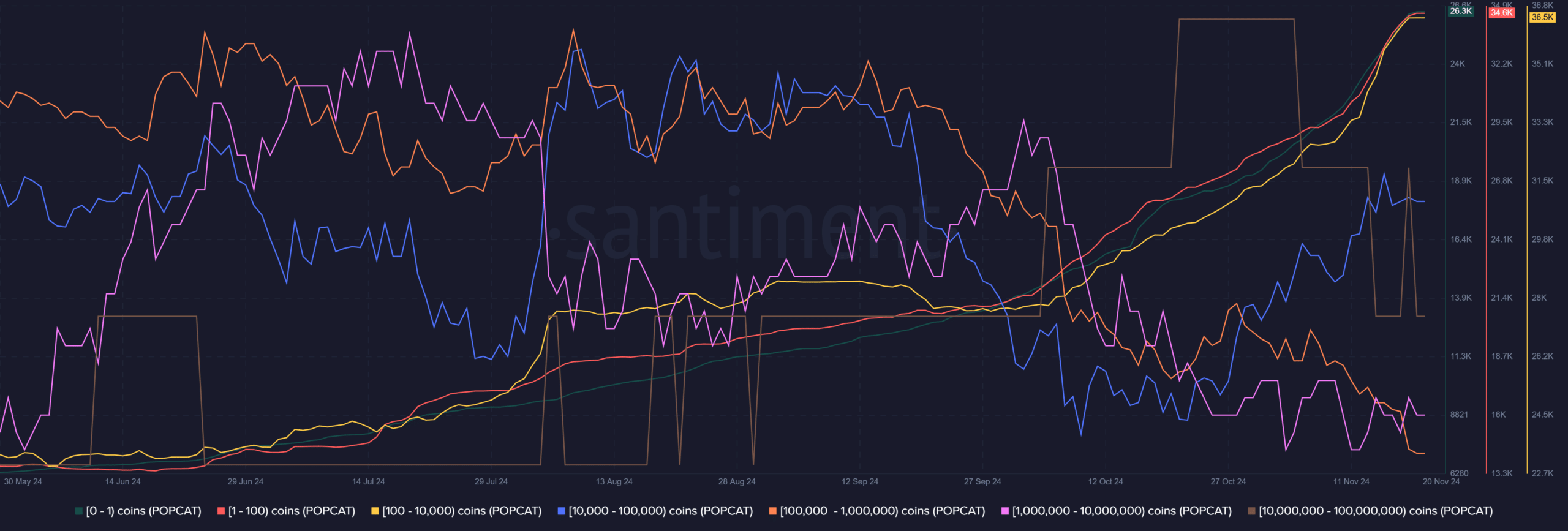 Distribución de suministros POPCAT