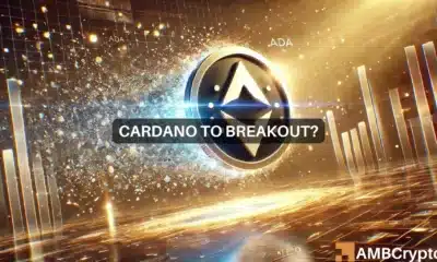 Cardano