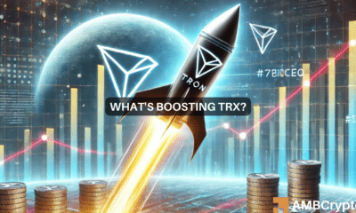 TRON's USDT dominance - Here's what that means for TRX's price