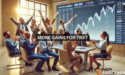 TRON holders are 'in profit,' but what next for TRX's price?