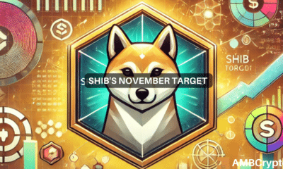 Shiba Inu to rally by 50% in November? Here's why SHIB could replicate DOGE!