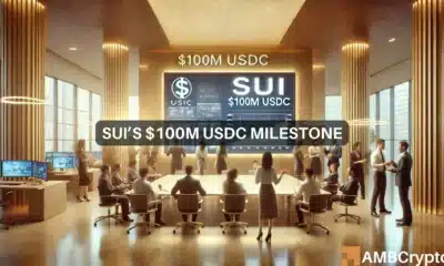 SUI network hits $100 Million USDC milestone - Meaning?