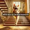 Mog Coin rallies 27% this week, but is the move sustainable?