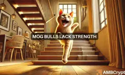 Mog Coin rallies 27% this week, but is the move sustainable?