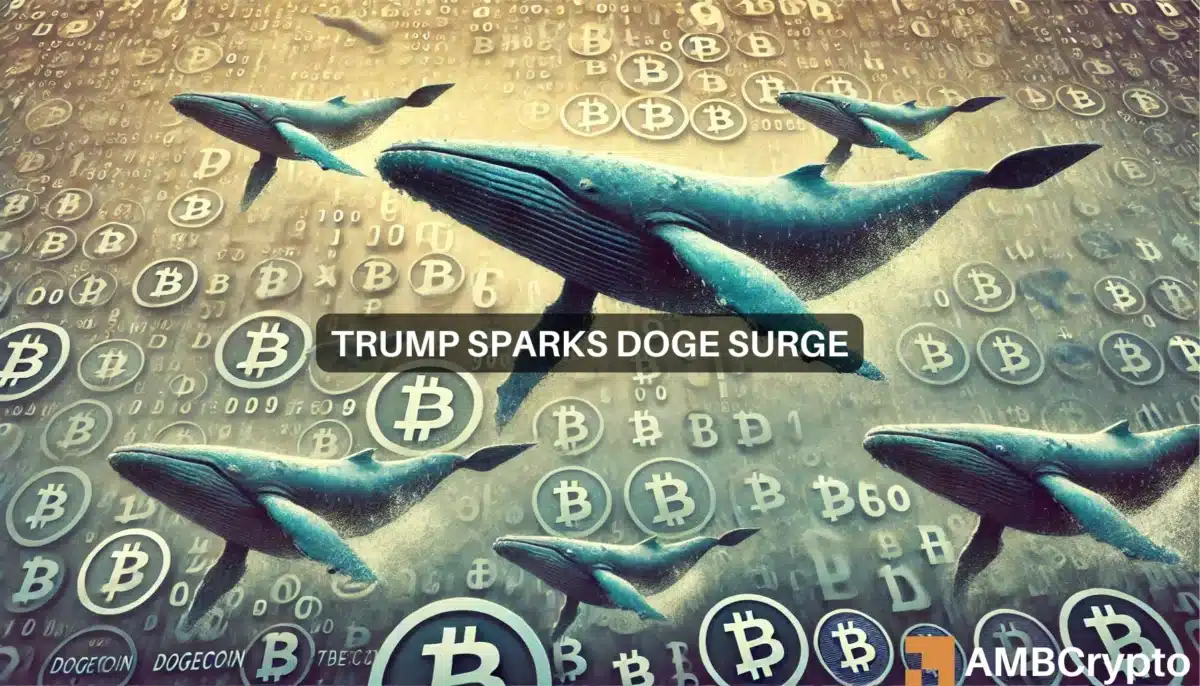 Trump Sparks Doge Surge