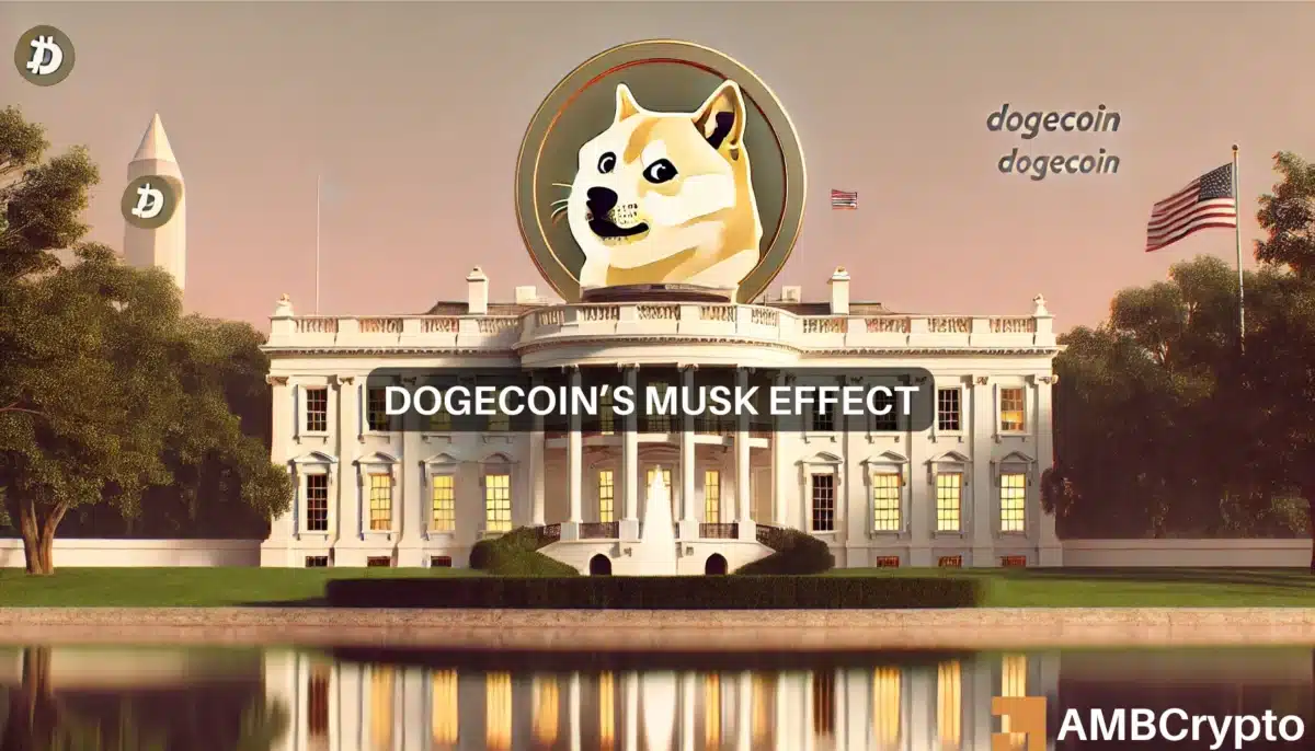 Dogecoin news