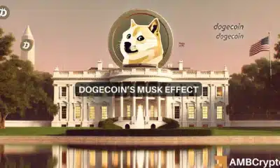 Dogecoin news