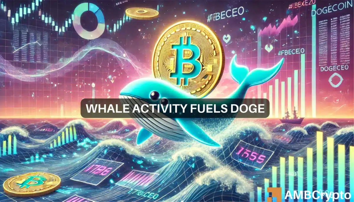 Whale Activity Fuels DOGE