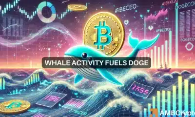 Whale Activity Fuels DOGE