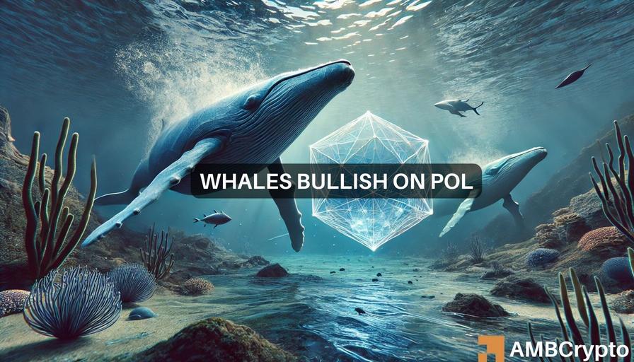 Is POL undervalued? Whale activity suggests potential upside