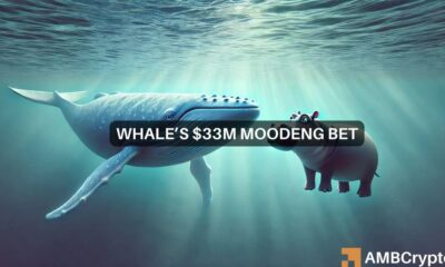 MOODENG whale accumulates 11.8 mln tokens - Recovery coming?