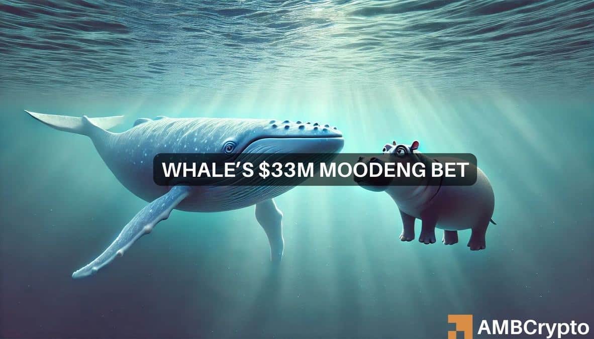 MOODENG whale accumulates 11.8 mln tokens – Recovery coming?