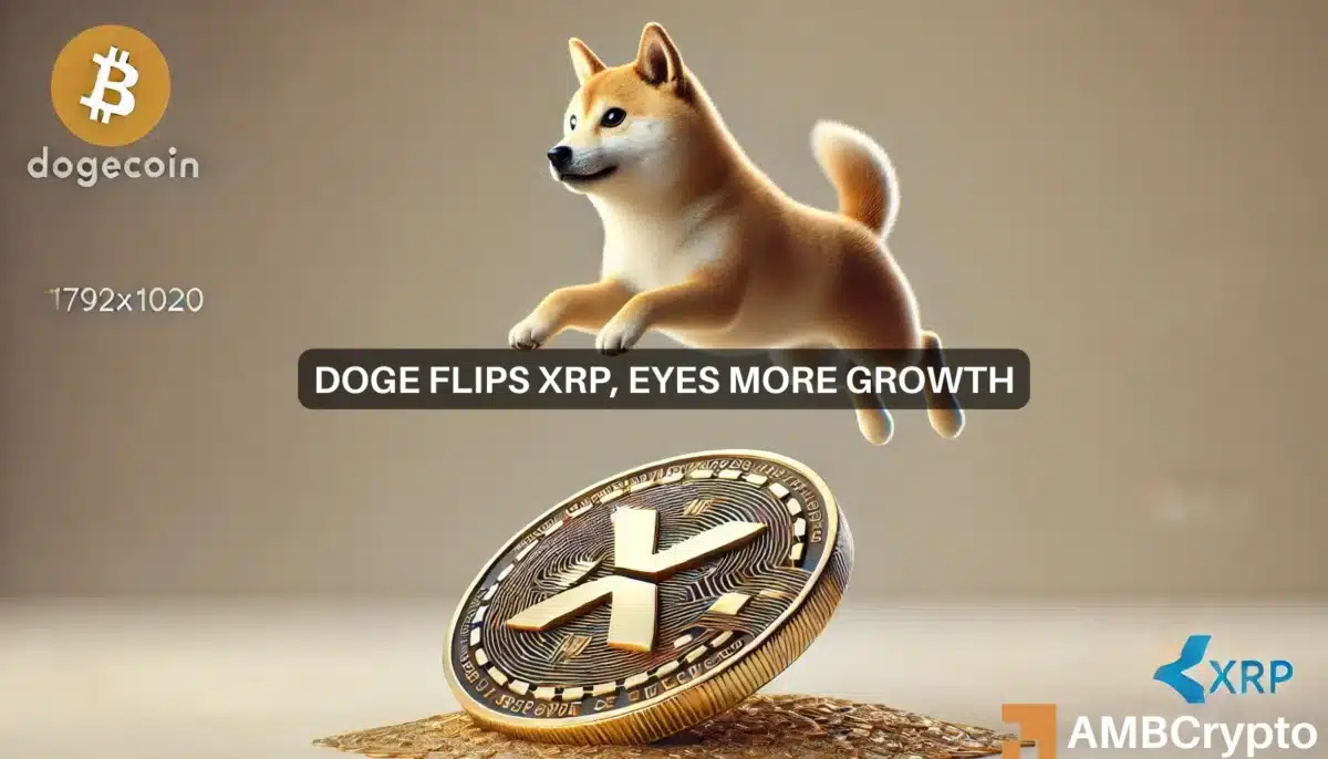 Dogecoin Ripple