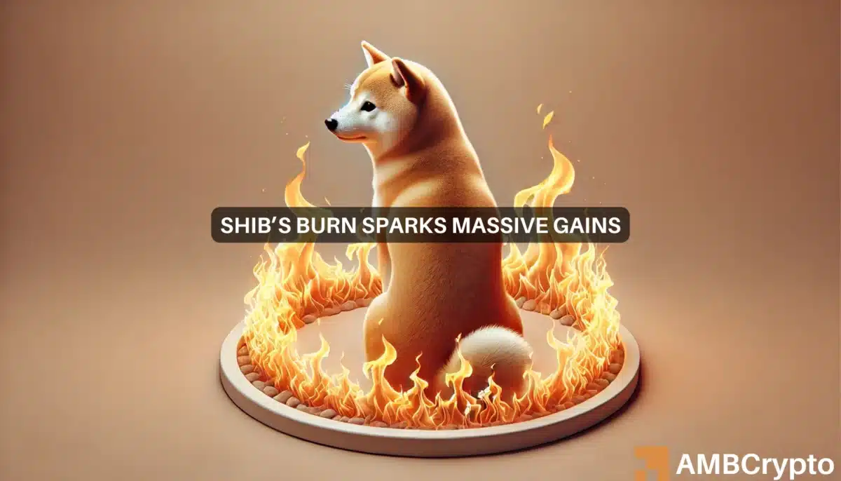 Despite 53 mln Shiba Inu burn, why SHIB's breakout depends on DOGE