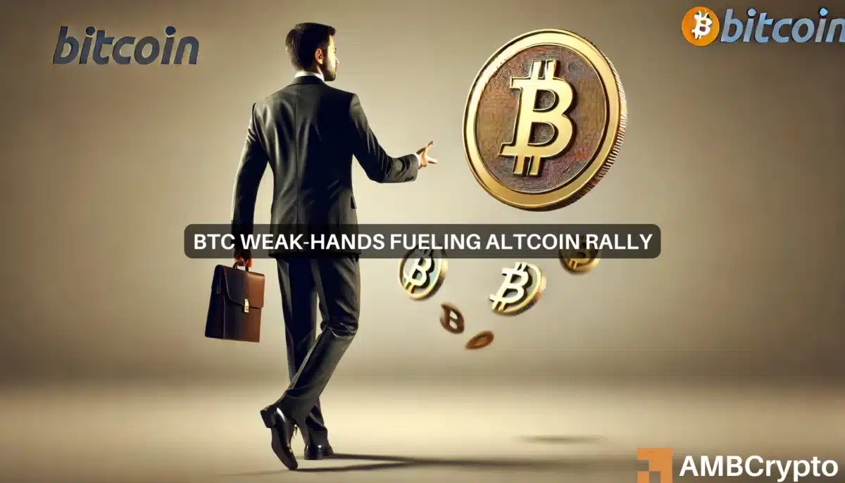 Bitcoin - Weak hands cashing out is good news for memecoins or altcoins?