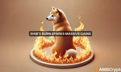 Despite 53 mln Shiba Inu burn, why SHIB's breakout depends on DOGE