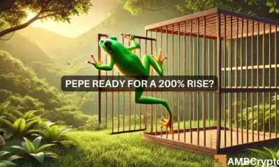 PEPE ready for a 200% rise?