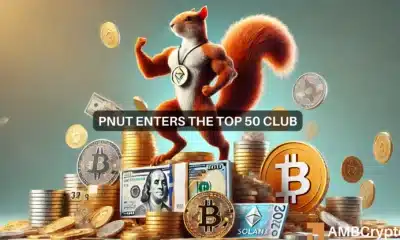 ‘America was saved by a memecoin’ says Musk as Peanut the Squirrel crypto hits ATH