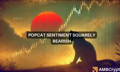 Why POPCAT could not hold on to its 79% November gains