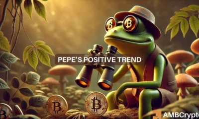 Pepe soars as top Memecoin gainer — Will the bullish trend continue?