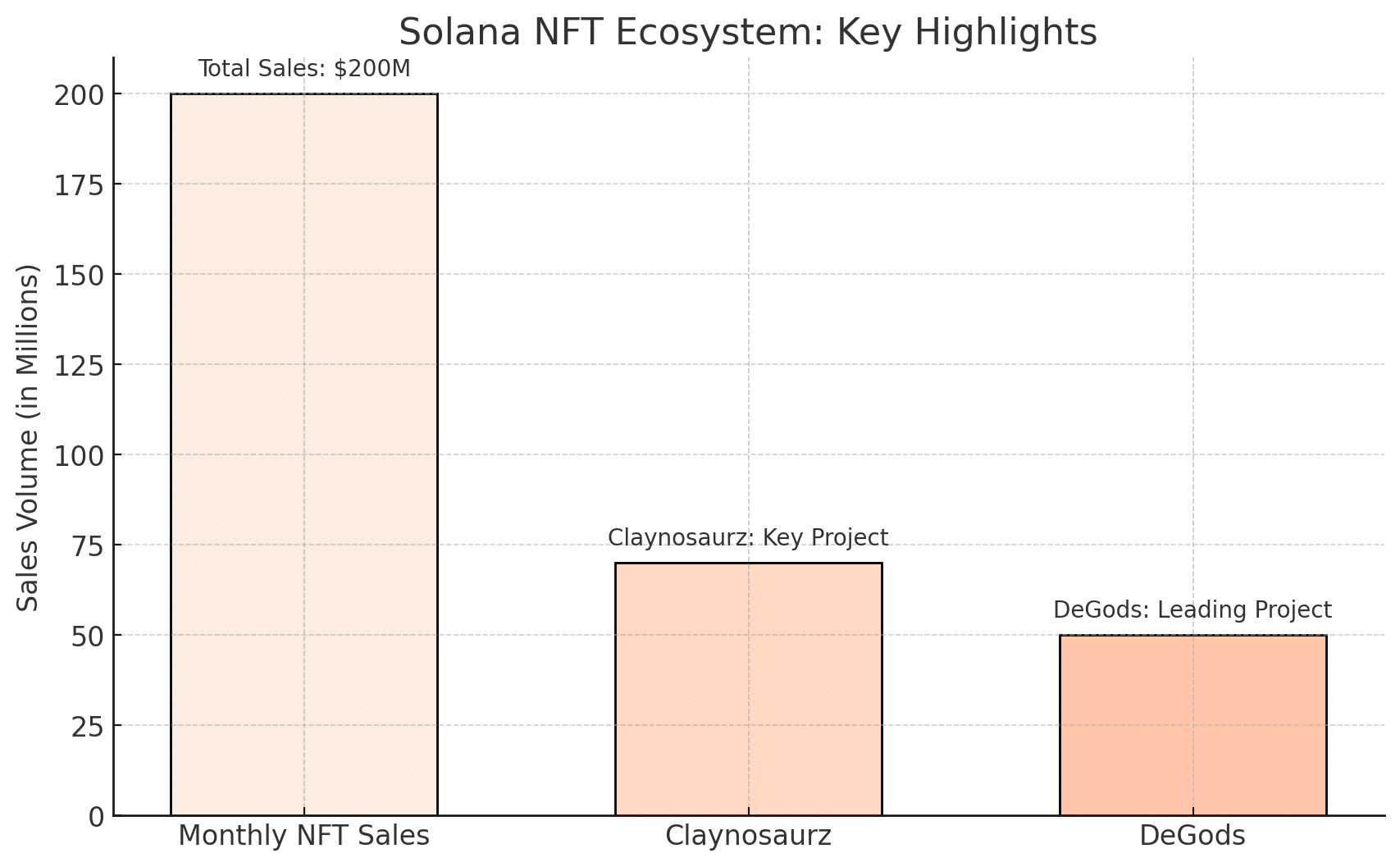 Solana NFTS