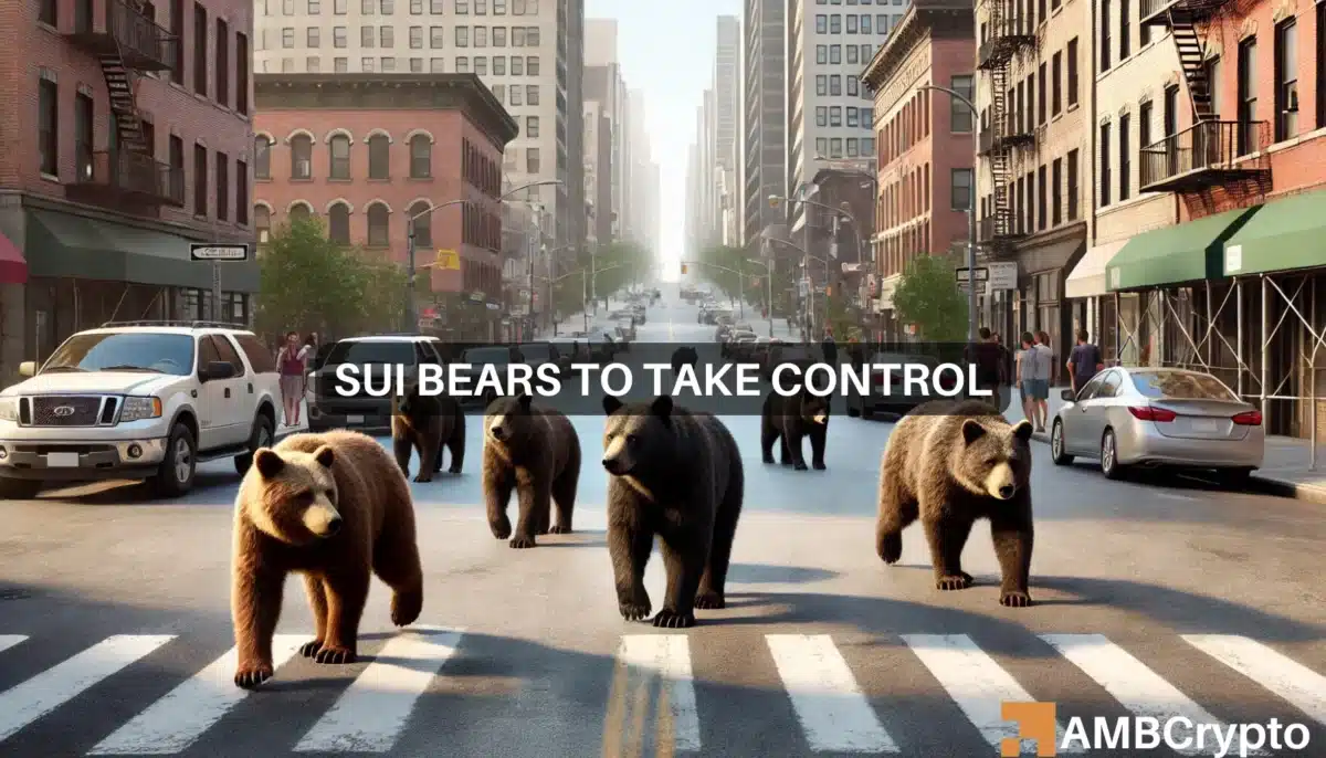 SUI bears to take control