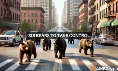 SUI bears to take control