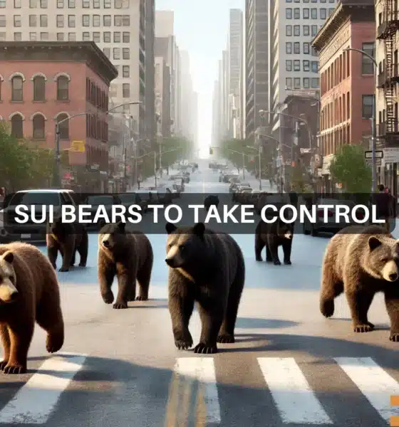 SUI bears to take control