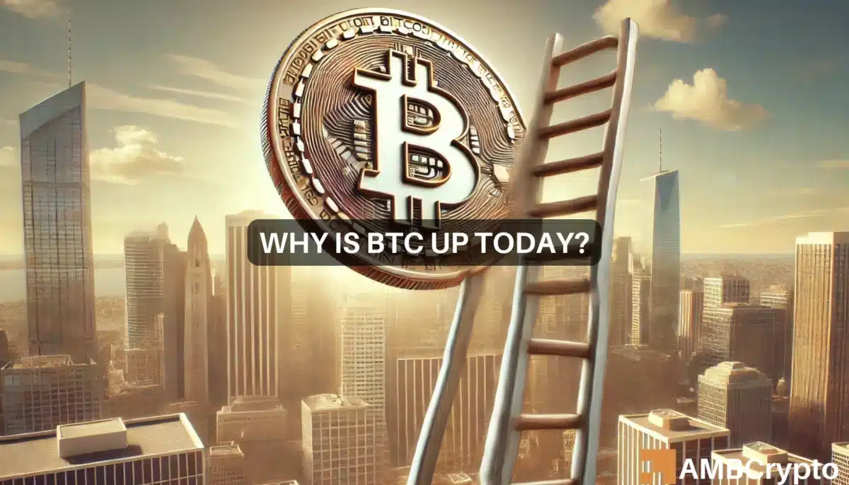 Why Is Bitcoin Up