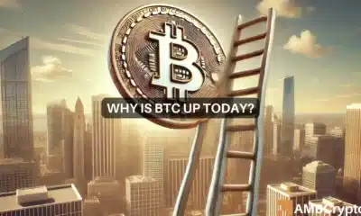 Why Is Bitcoin Up