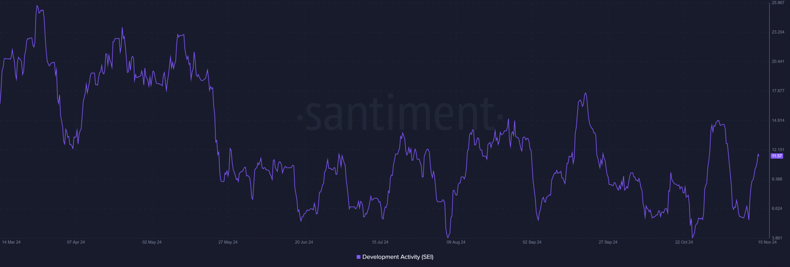 SEI development activity 